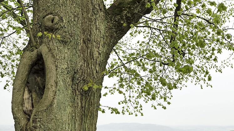 Die Tour belohnt die Teilnehmer mit wunderbaren Ausblicken und Genuss-Spezialitäten der besonderen Art.
