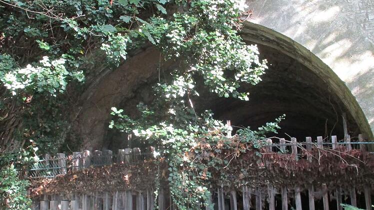 Würzburg: Mehr Hängeplätze für Fledermäuse - Schleusentunnel als Winterquartier aufgewertet