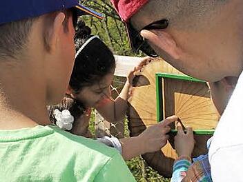 So sehen also die Jahresringe eines Baumes aus, studierten die syrischen Kinder.