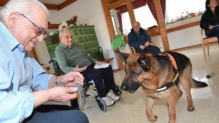 Therapiehund Aramis bei den Senioren im Kulmbacher WohnstiftFoto: Ronald Rinklef