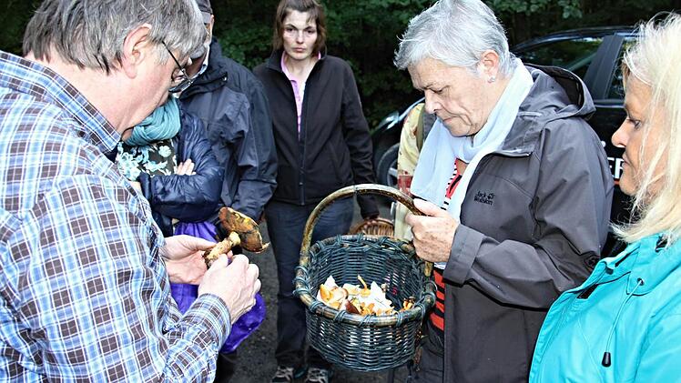 Der Rat des Pilzfachmannes Herbert Stang war gefragt. Alle wollten sicher gehen, keine giftigen Pilze in den Kochtopf zu werfen.Foto: Helmut Will