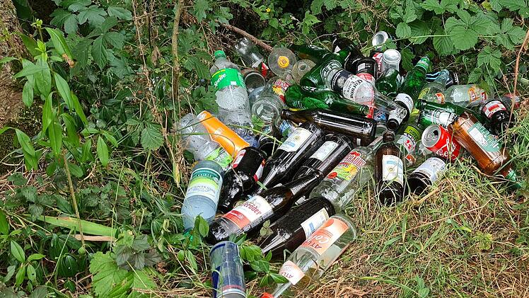 Glasabfälle im Wald sind nicht nur Umweltverschmutzung, sie können an heißen Tagen sogar Brände entfachen.  Foto: Hans Beudert