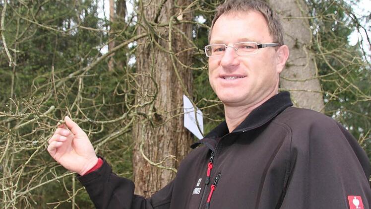 Elektroingenieur Rainer Herold aus Kasendorf bewirtschaftet fünf Hektar Wald und hat das Angebot der Weiterbildung gerne in Anspruch genommen. Er bestaunt die Eiche bei der Waldbegehung.