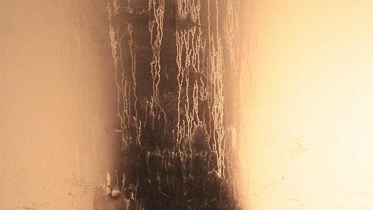 Der Rauch aus dem brennenden Kelleraum verrußte die Fassade. Foto: Jürgen Gärtner