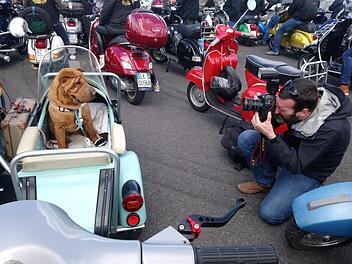 Hund Mia im Beiwagen von Michael Auers Vespa war ein beliebtes Fotoobjekt für die Bildjournalisten der britischen Presse. Das Gespann wurde auf den "Vespa World Days" mit dem "Best Of Show Award" ausgezeichnet.  Foto: privat