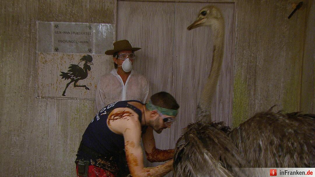 Ich bin ein Star - Holt mich hier raus!