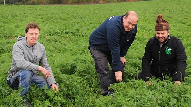 Sebastian Dirauf (links), Georg Schauer (Mitte) und Lothar Teuchgr&auml;ber (rechts) begutachten ein Feld. Gerade bei ihren kleineren Fl&auml;chen ist die Unkrautregulierung mit den modernen Ger&auml;ten noch nicht umsetzbar.  Foto: Theresa Schiffl