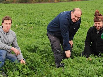 Sebastian Dirauf (links), Georg Schauer (Mitte) und Lothar Teuchgr&auml;ber (rechts) begutachten ein Feld. Gerade bei ihren kleineren Fl&auml;chen ist die Unkrautregulierung mit den modernen Ger&auml;ten noch nicht umsetzbar.  Foto: Theresa Schiffl