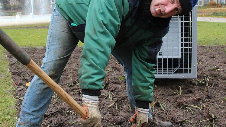Die letzten Rosenbeete füllen sich. Foto: Benedikt Borst