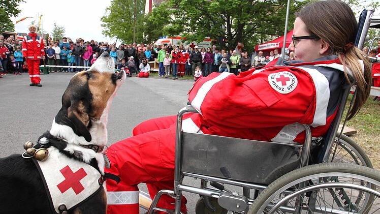 Gefunden: Mit lautem Bellen zeigt ein Rettungshund eine mit ihrem Rollstuhl "vermisste" Frau an. Foto: Michael Will