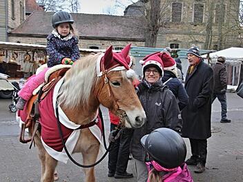 Margits Haflingerhof aus Burgpreppach war mit stolzen Haflingern gekommen, um kurze geführte Austritte für Kinder zu bieten. Diese wagten sich auf den Rücken der Pferde, auch wenn sie dabei manchmal etwas skeptisch dreinblickten.Helmut Will