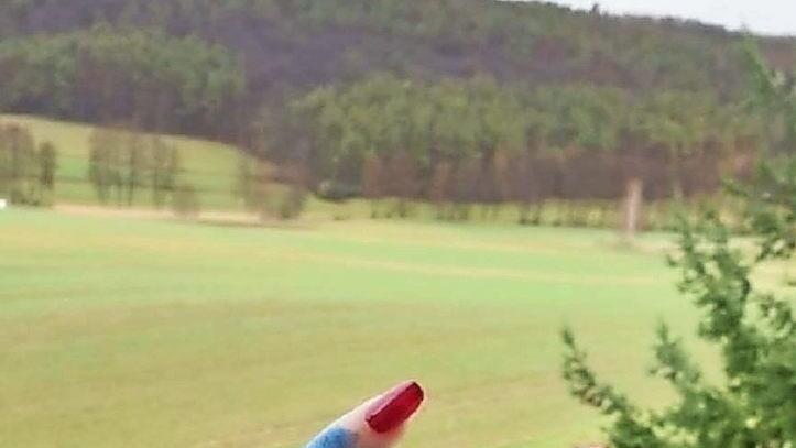 Bei den Interkulturellen Wochen wird eine virtuelle Ausstellung geboten. Dort sind auch Werke von Janyar Ibrahim zu bewundern.  Foto: Janyar Ibrahim