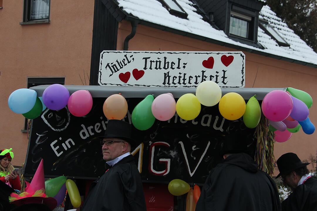 Faschingsumzug in Oberhaid