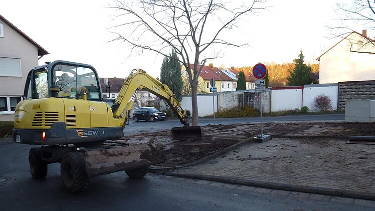 Die neuen Ahornbäume am Ernst-Reuter-Platz Foto: Gartenamt Forchheim