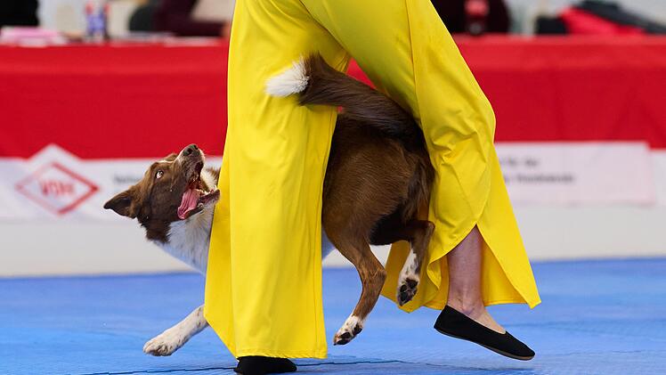 Meisterschaft im Dog Dancing auf Messe «Hund & Pferd»