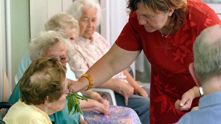 Gartentherapie 2006