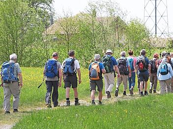 Auch Wanderungen mit an Demenz erkrankten Menschen werden mittlerweile angeboten.