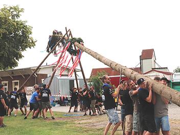Die Kerwasbuam stellen den Kerwasbaum in Zeckern auf. Foto: Johanna Blum