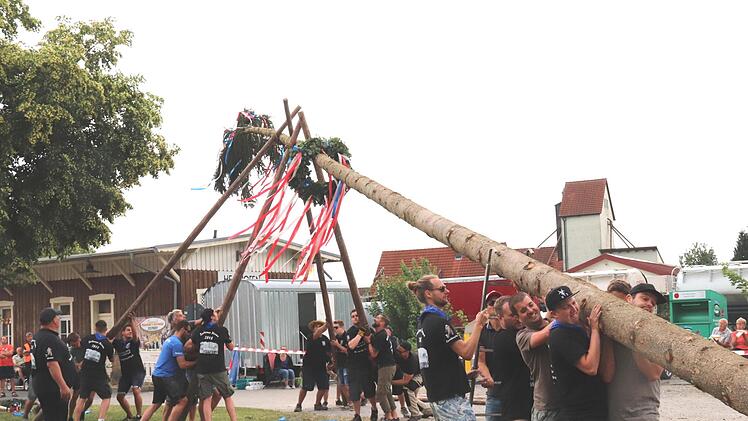 Die Kerwasbuam stellen den Kerwasbaum in Zeckern auf. Foto: Johanna Blum