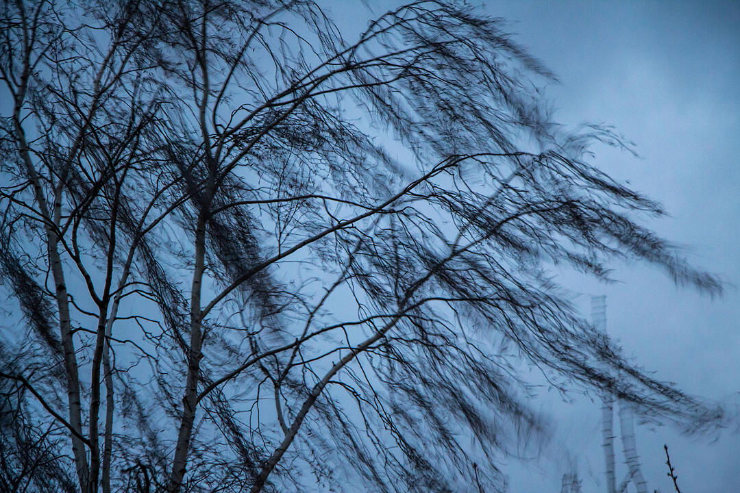 Fotos Konrad Thomann