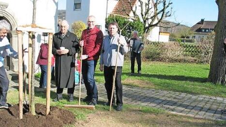 Die Kolpingsfamilie pflanzte eine neue Sommerlinde an der Kreuzkapelle in Bad Staffelstein. Foto: Ludwig Alin