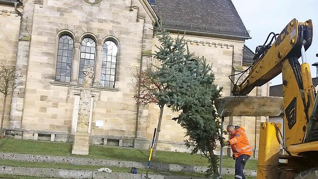 Der Gemeindebedienstete Gerhard Hofmann ist dabei, den Weihnachtsbaum aufzustellen.  Foto: Heidi Amon