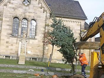 Der Gemeindebedienstete Gerhard Hofmann ist dabei, den Weihnachtsbaum aufzustellen.  Foto: Heidi Amon