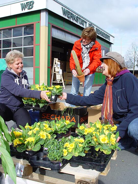 Pflanzenflohmarkt Melkendorf