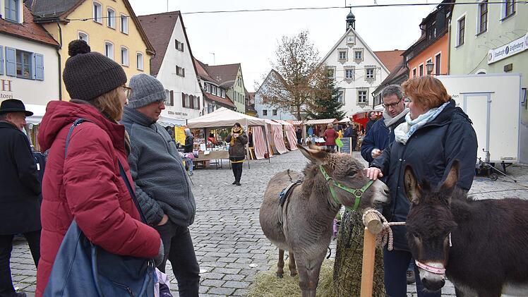 Dem Esel schmeckt das Heu. Foto: Petra Malbrich