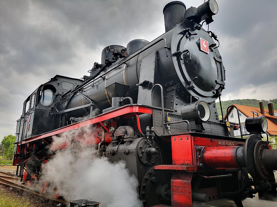 Die schönsten Fotos im Mai aus Forchheim und Umgebung