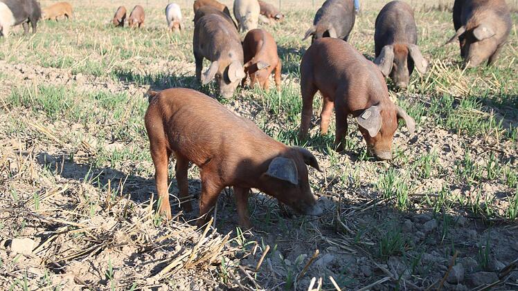 Von klein bis gro&szlig; leben hier alle zusammen.Foto: Stefanie Gleixner