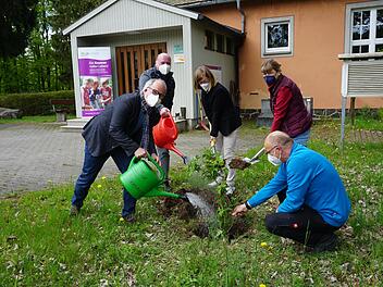 Umweltbildung, die Früchte trägt: Für eine gute Zukunft des  Schullandheims Bauersberg wurde anlässlich des bayernweiten Aktionstags  der Umweltbildung ein Holunderbusch gepflanzt. Das Bild zeigt von links:  Markus Seibl (Geschäftsführer der Hobbach-Bauersberg gGmbH), Bischofsheims Bürgermeister Georg Seiffert, Heike Makowsky (Schatzmeisterin der  Hobbach-Bauersberg gGmbH),  Andrea Schmitt (Leiterin des  Studienhauses am Bauersberg) und Mitarbeiter Dieter Köstler. Foto:  Marion Eckert