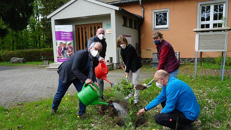Umweltbildung, die Früchte trägt: Für eine gute Zukunft des  Schullandheims Bauersberg wurde anlässlich des bayernweiten Aktionstags  der Umweltbildung ein Holunderbusch gepflanzt. Das Bild zeigt von links:  Markus Seibl (Geschäftsführer der Hobbach-Bauersberg gGmbH), Bischofsheims Bürgermeister Georg Seiffert, Heike Makowsky (Schatzmeisterin der  Hobbach-Bauersberg gGmbH),  Andrea Schmitt (Leiterin des  Studienhauses am Bauersberg) und Mitarbeiter Dieter Köstler. Foto:  Marion Eckert