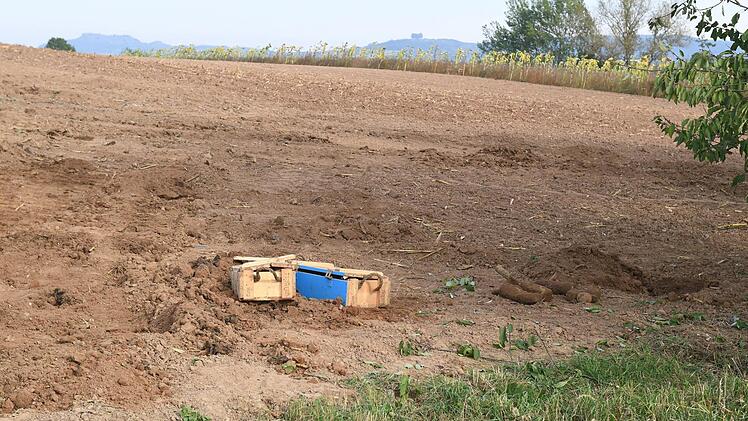 Die rostigen Klumpen am rechten Bildrand sind äußerst gefährliche Kampfmittel.Foto: Ronald Rinklef