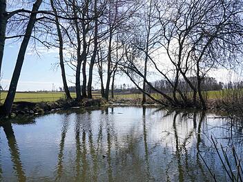 Die Bodhül in der Nähe von Großenhül liegt wie eine Oase mitten in der Feldflur.