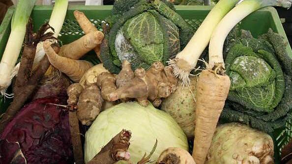 Schwarzwurzeln, Pastinaken, Topinambur, Sellerie und verschiedene Kohlsorten liegen auf dem Verkaufstresen eines Bio-Marktstandes. Symbolbild: Holger Hollemann/dpa