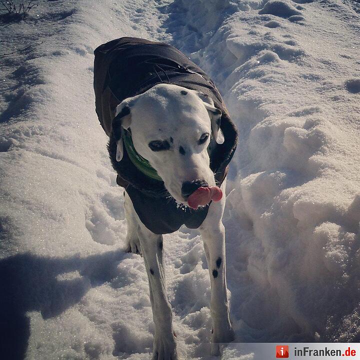 Eis und Schnee in Franken - die schönsten Winterleserfotos