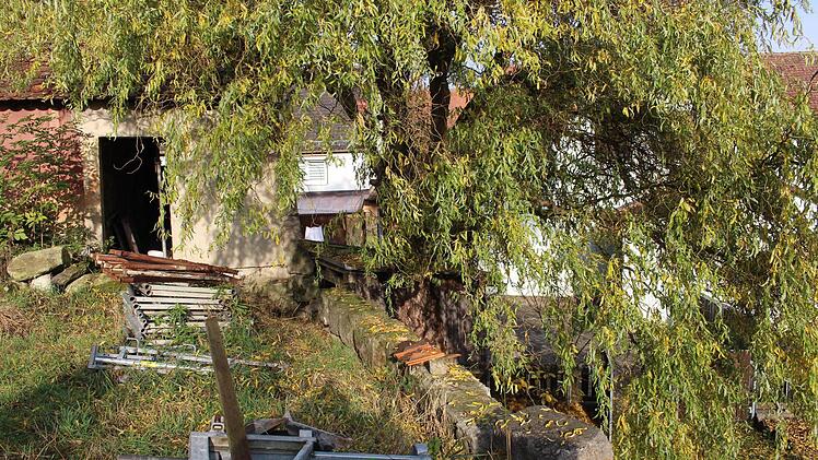 Die einstige Mauer mit dem Eingang zum Rundturm  Foto: Evi Seeger