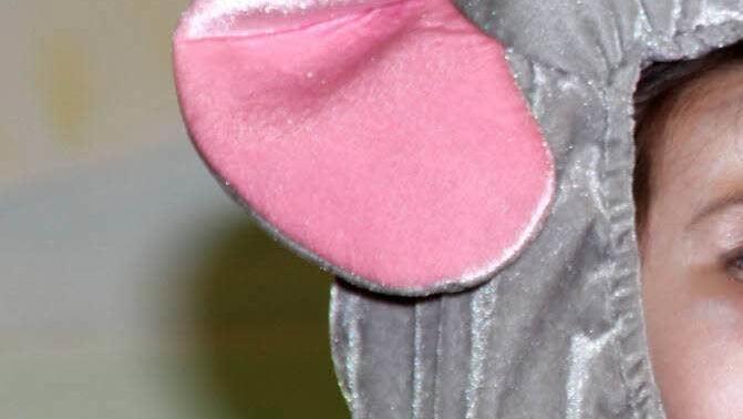 Beim Maßbacher Büttenabend in der Lauertalhalle. Foto: Dieter Britz