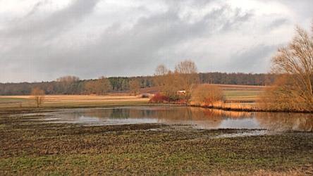 Der Bibersee vor der Öffnung des Biberdamms (großes Bild) und nach der Öffnung.