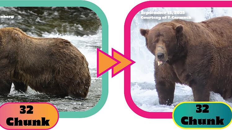 «Fat Bear»-Wahlen in USA