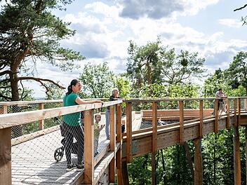 Tiergarten Nürnberg bietet neue Führungen auf dem Klimawaldpfad an