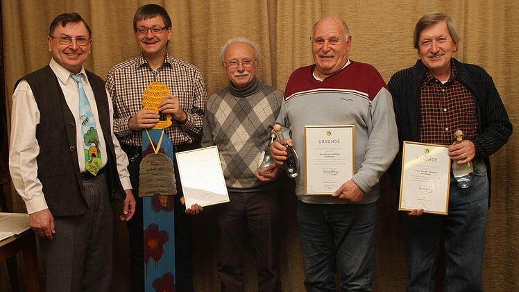 Etwa 4500 Hektar Ackerfläche im Landkreis werden zurzeit mit Raps bebaut. Bienen sorgen mit der Bestäubung dafür, dass der Ertrag kräftig steigt. Peter Kirchner taxiert die dadurch entstehende Wertsteigerung auf mehr als 470 000 Euro im Jahr. Archivfoto: Schmidt/dpa