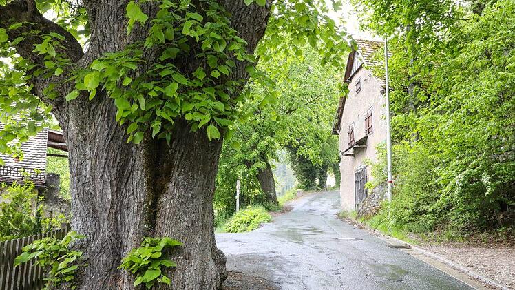 Foto: Barbara Herbst