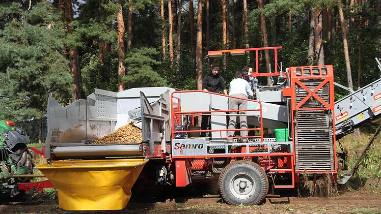 Der Vollernter der Familie Schleicher in voller Pracht.