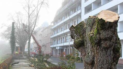 Arbeiter fällen nach und nach die Linden der Bismarckstraße.  Fotos: Borst