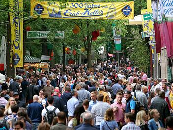 Das erste Wochenende der Bergkirchweih ist vorbei - die Polizei zieht Bilanz. Wieder gab es einiges zu tun f&uuml;r die Beamten.  Foto: Daniel Karmann/dpa