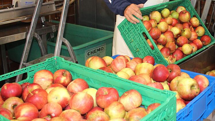 Je besser die Qualität der angelieferten Äpfel, desto besser und haltbarer wurde  auch der Saft.  Foto: Evi Seeger