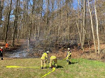 Am Dienstagmorgen brannte es im Wald bei Obereschenbach.  Foto: Feuerwehr