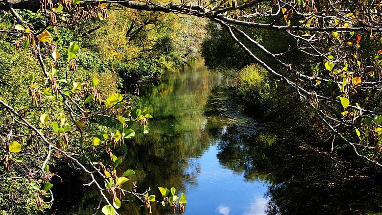 Der Trubbach in Forchheim im Herbstlicht